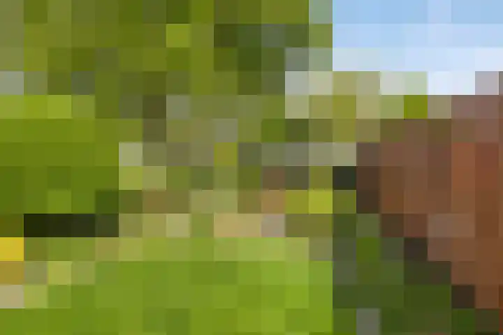 Varenkampen 6 Assen thumbnail 4