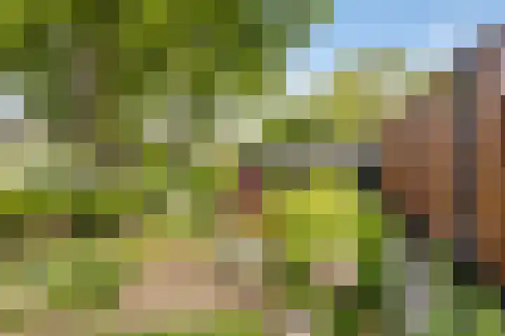 Varenkampen 6 Assen thumbnail 41
