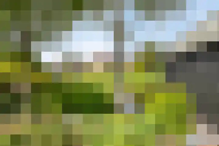 Varenkampen 6 Assen thumbnail 42