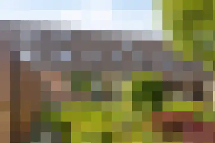 Varenkampen 6 Assen thumbnail 43