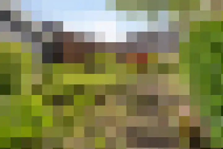 Varenkampen 6 Assen thumbnail 44