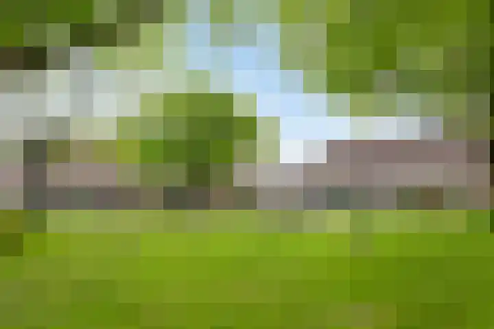 Varenkampen 6 Assen thumbnail 48