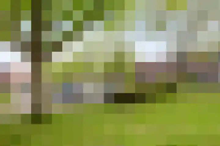 Varenkampen 6 Assen thumbnail 49