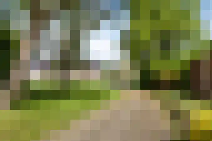 Varenkampen 6 Assen thumbnail 52