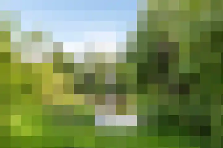 Varenkampen 6 Assen thumbnail 53
