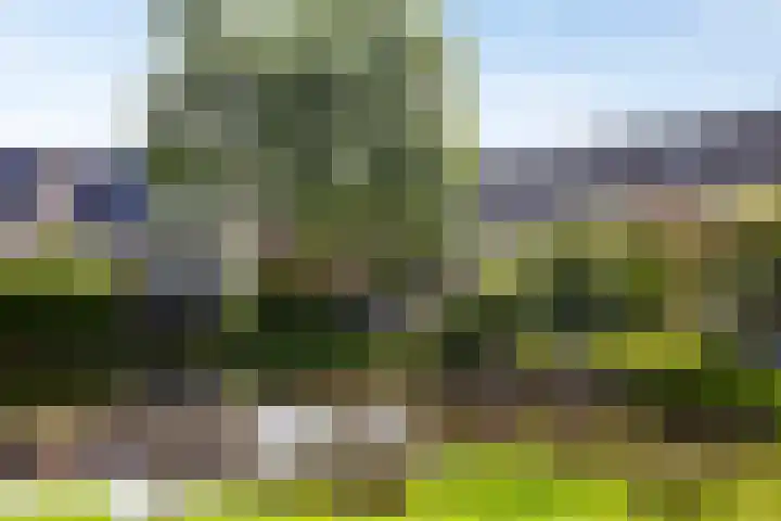 Varenkampen 6 Assen thumbnail 54