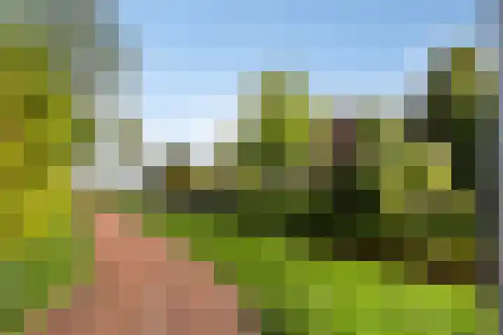Varenkampen 6 Assen thumbnail 55