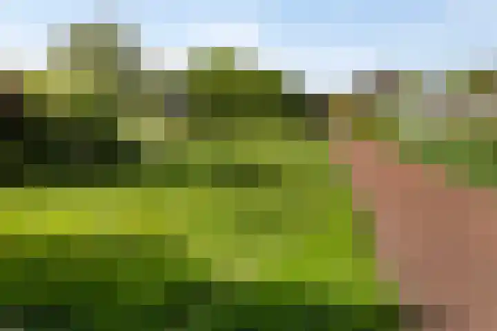 Varenkampen 6 Assen thumbnail 56