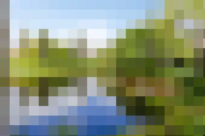 Varenkampen 6 Assen thumbnail 57