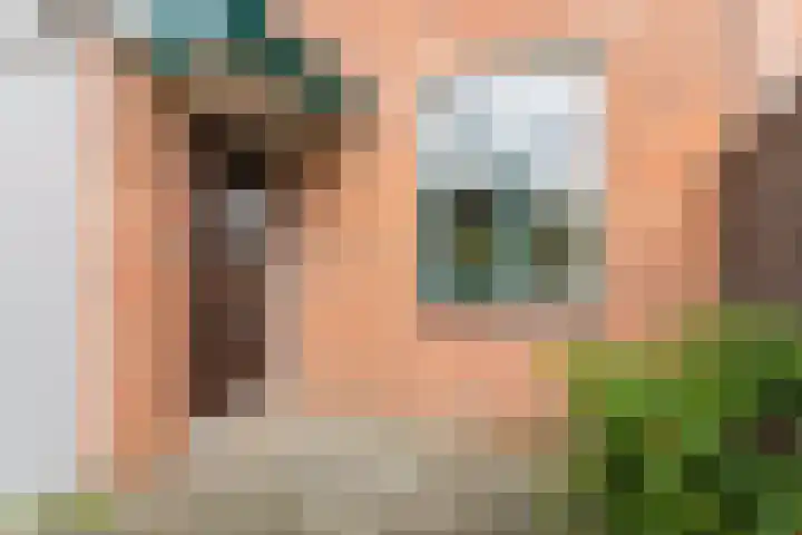 Varenkampen 6 Assen thumbnail 7