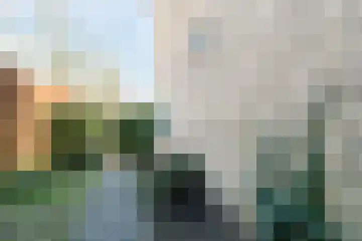 Varenlaan 98 Ermelo thumbnail 42