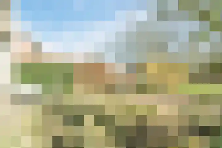 Varenlaan 98 Ermelo thumbnail 49