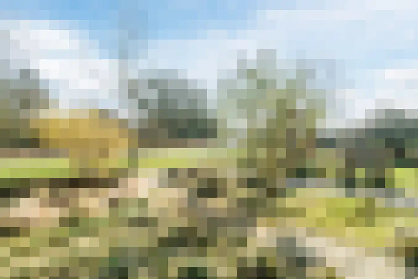 Varenlaan 98 Ermelo thumbnail 5