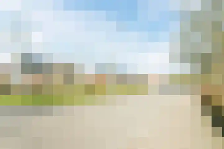 Varenlaan 98 Ermelo thumbnail 51