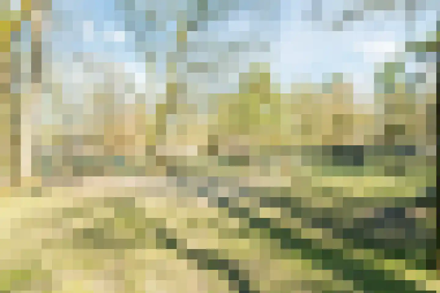 Varenlaan 98 Ermelo thumbnail 52