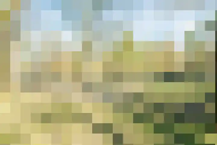 Varenlaan 98 Ermelo thumbnail 52