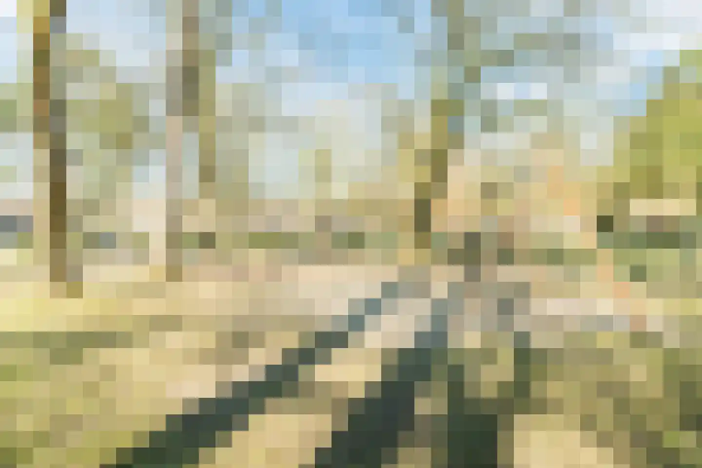 Varenlaan 98 Ermelo thumbnail 53