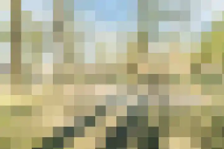 Varenlaan 98 Ermelo thumbnail 53