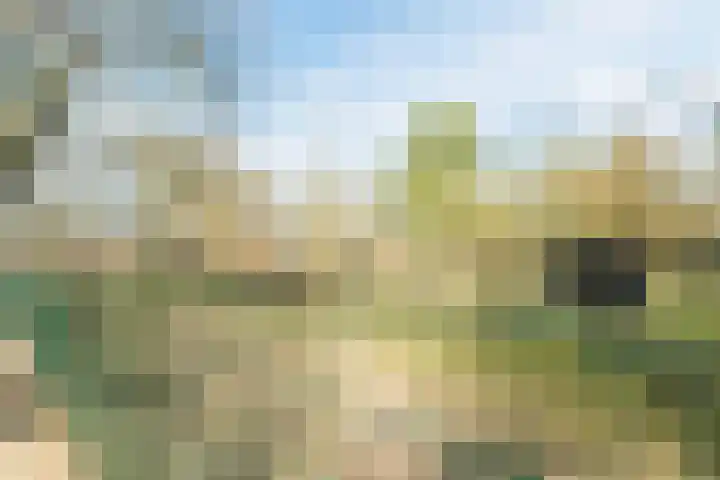 Varenlaan 98 Ermelo thumbnail 54