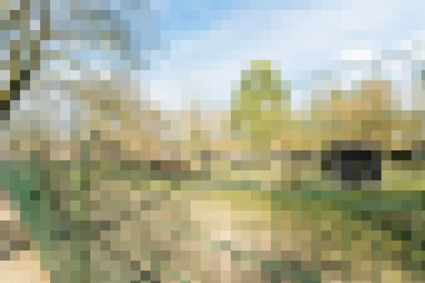 Varenlaan 98 Ermelo thumbnail 54