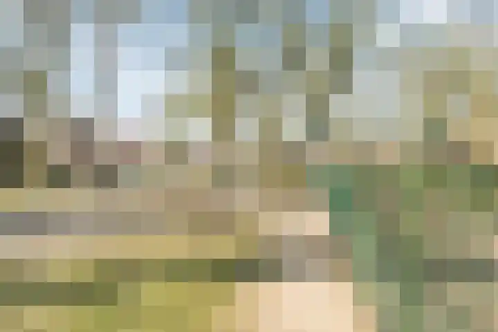 Varenlaan 98 Ermelo thumbnail 55