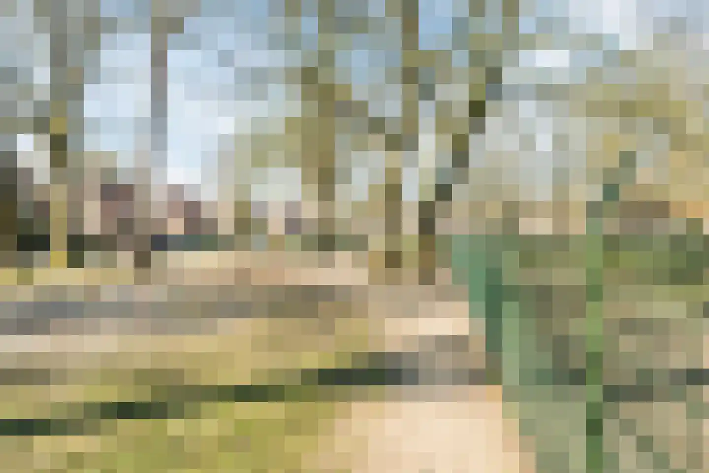 Varenlaan 98 Ermelo thumbnail 55
