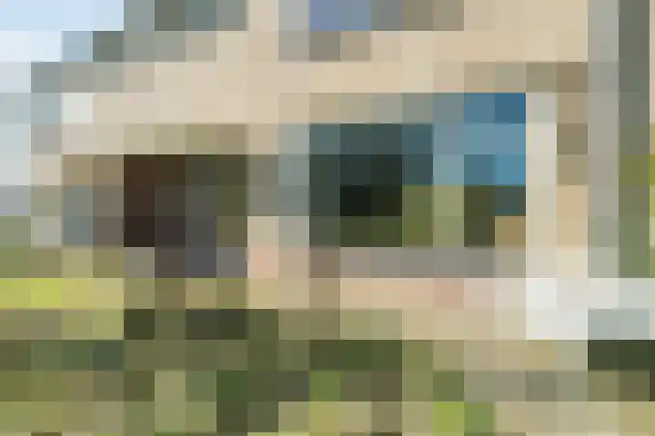 Varenlaan 98 Ermelo thumbnail 6