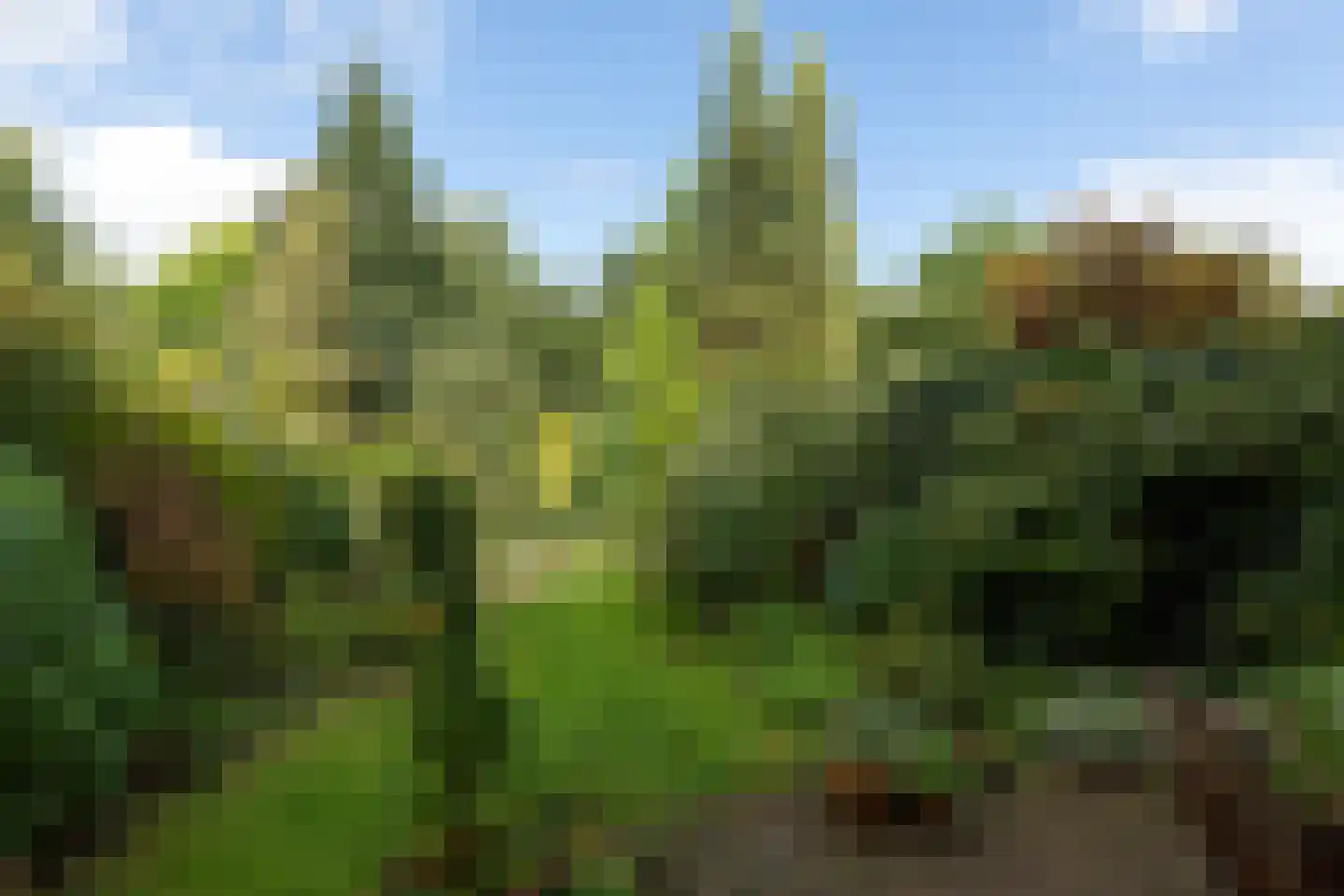 Varenmeent 10 Hilversum thumbnail 4