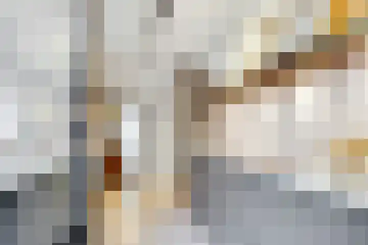 Varenmeent 15 Hilversum thumbnail 12