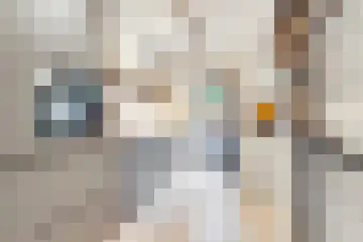 Varenmeent 15 Hilversum thumbnail 14