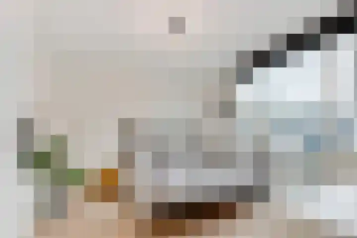 Varenmeent 15 Hilversum thumbnail 18