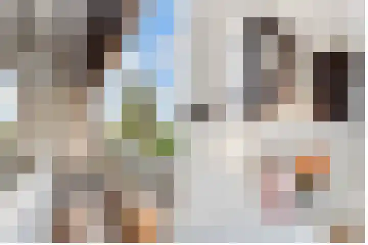 Varenmeent 15 Hilversum thumbnail 21