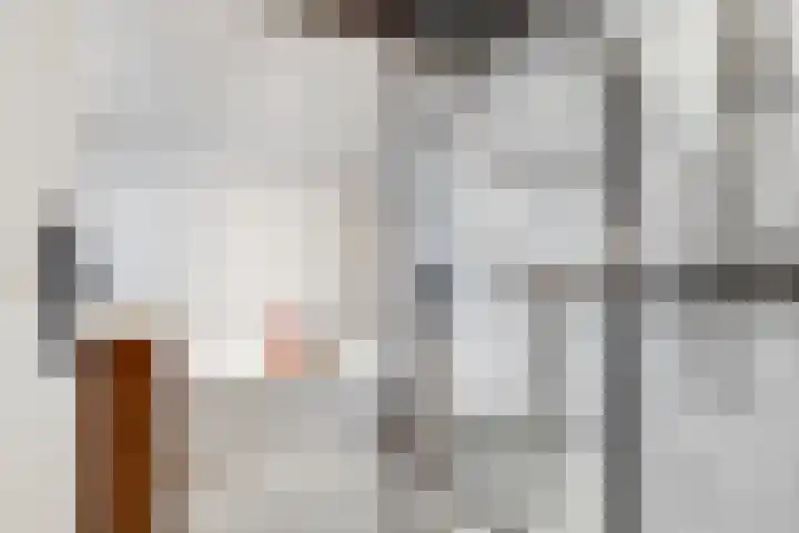 Varenmeent 15 Hilversum thumbnail 24