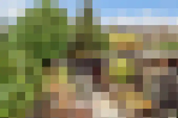 Varenmeent 15 Hilversum thumbnail 32