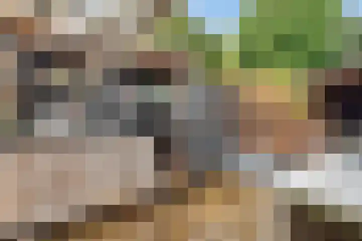 Varenmeent 15 Hilversum thumbnail 34