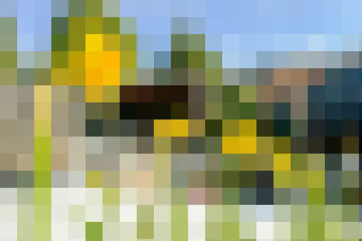 Varenmeent 15 Hilversum thumbnail 44
