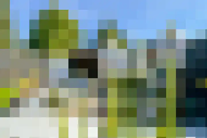 Varenmeent 15 Hilversum thumbnail 45