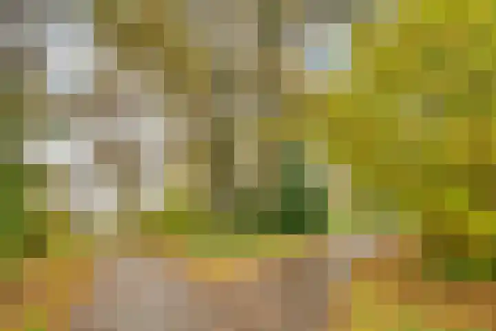 Varenmeent 15 Hilversum thumbnail 48
