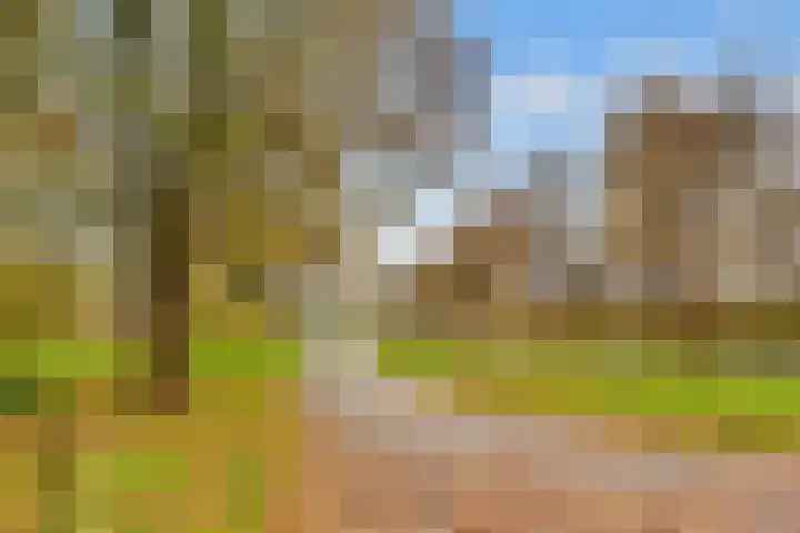 Varenmeent 15 Hilversum thumbnail 49