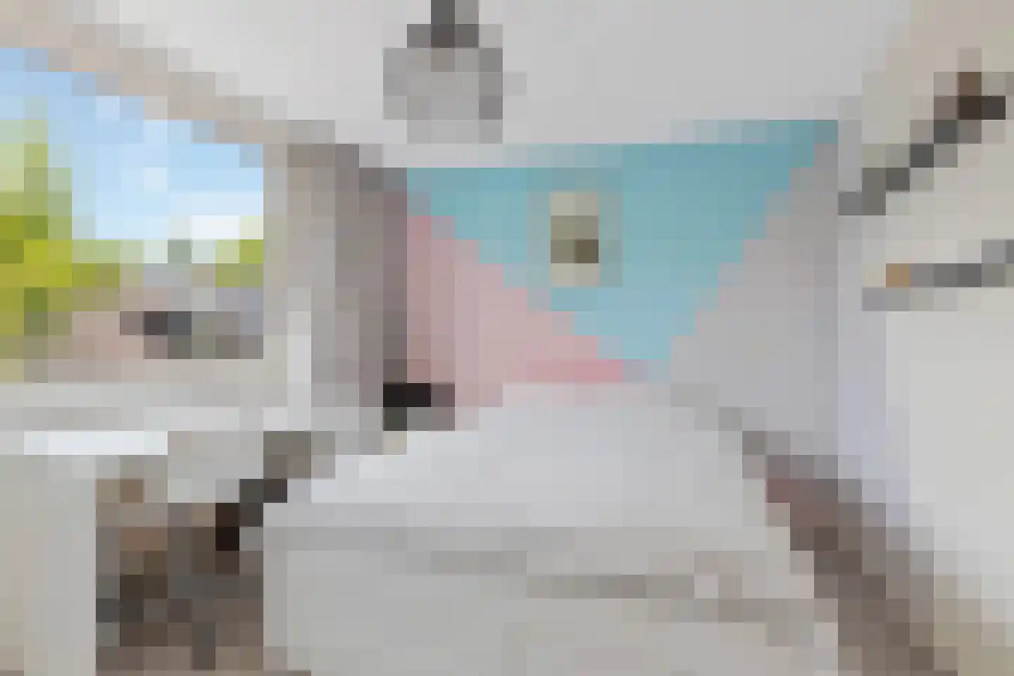 Varenmeent 17 Hilversum thumbnail 19
