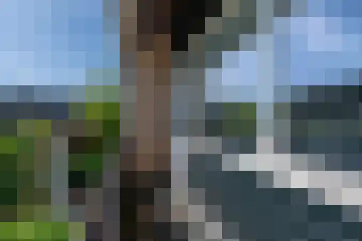 Varenmeent 19 Hilversum thumbnail 18