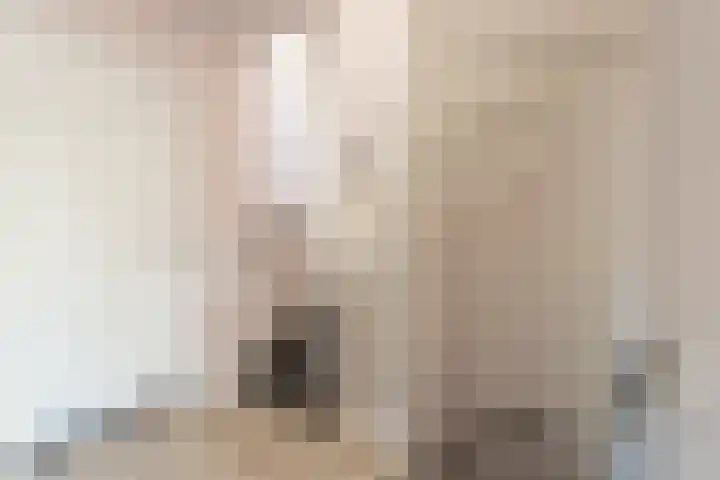 Varenmeent 19 Hilversum thumbnail 26