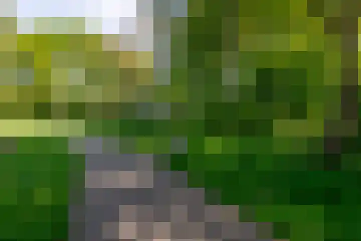 Varenmeent 19 Hilversum thumbnail 41