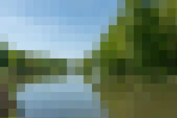Varenmeent 19 Hilversum thumbnail 42
