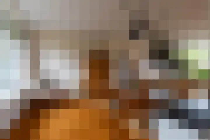 Varenmeent 6 Hilversum thumbnail 15