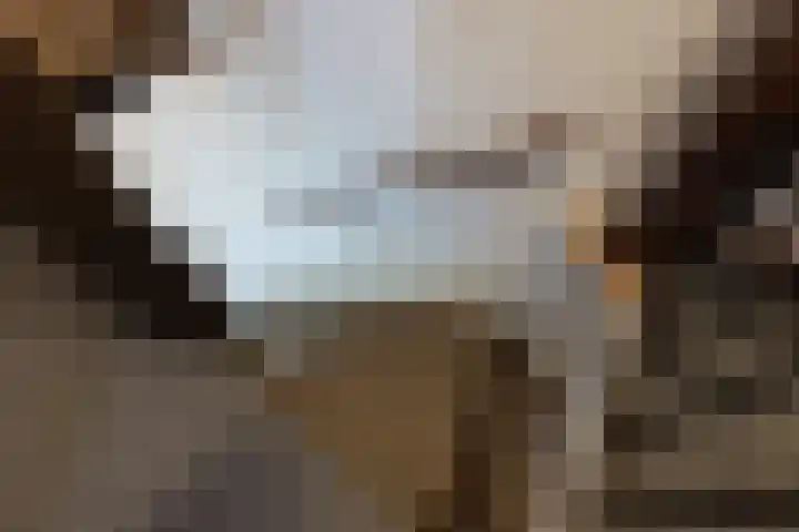 Varenmeent 6 Hilversum thumbnail 26