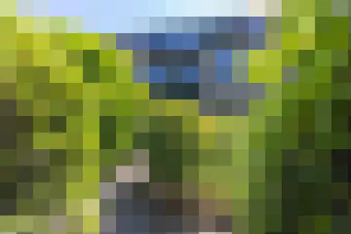 Varenmeent 6 Hilversum thumbnail 27