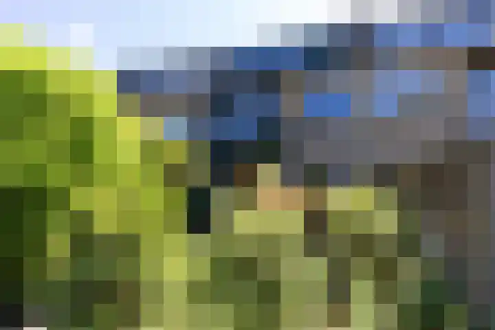 Varenmeent 6 Hilversum thumbnail 28
