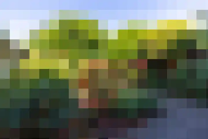 Varenmeent 6 Hilversum thumbnail 30