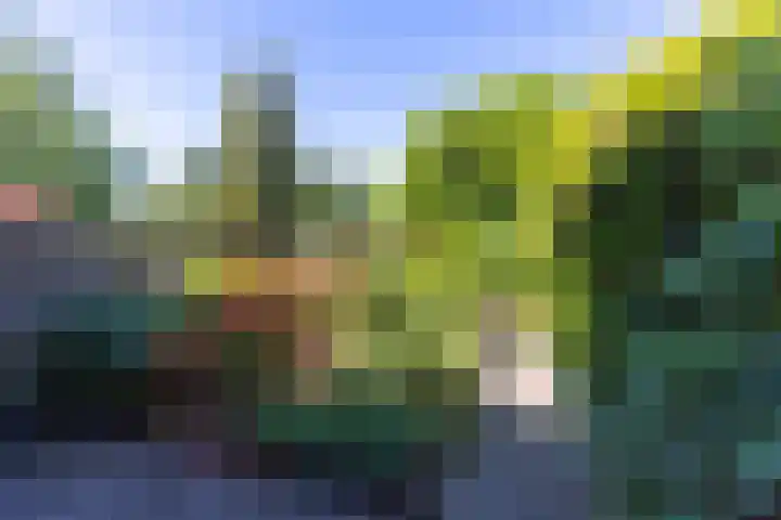 Varenmeent 6 Hilversum thumbnail 31